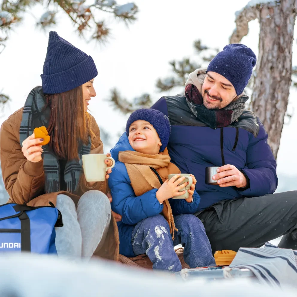 hyundai winterinspectie