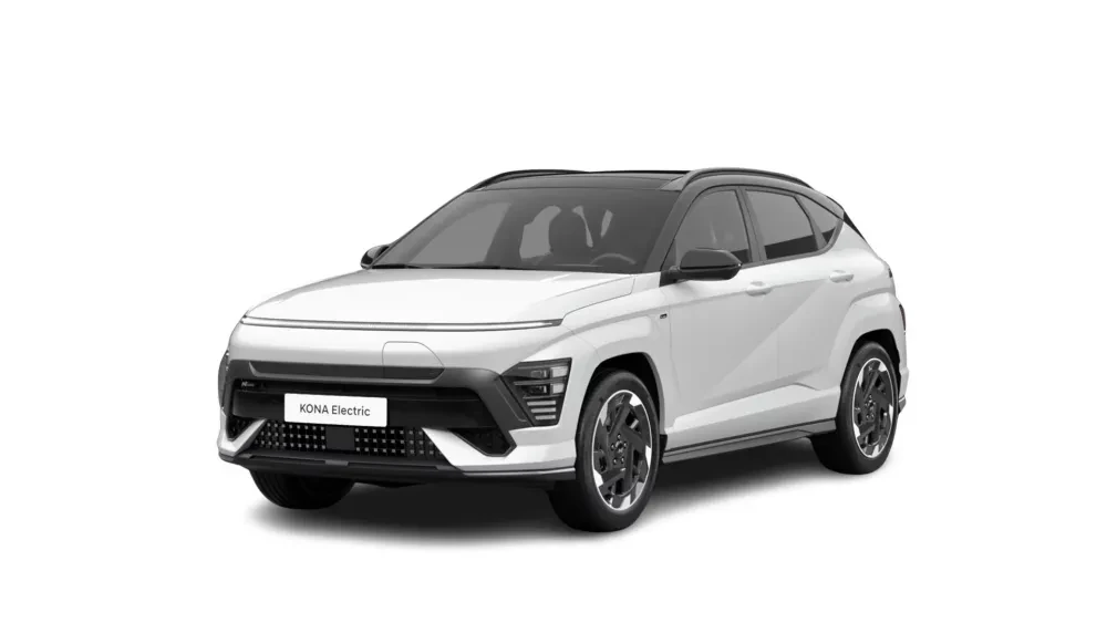 KONA electric business