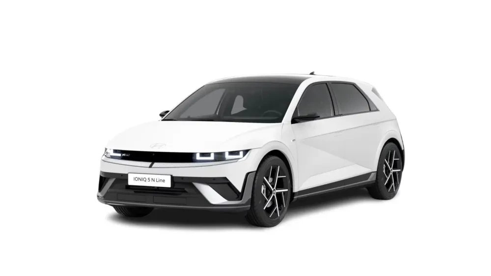 IONIQ 5 N Line business