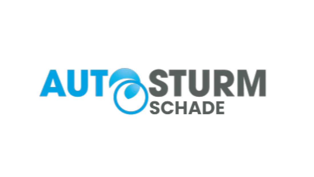 logo overzicht schade